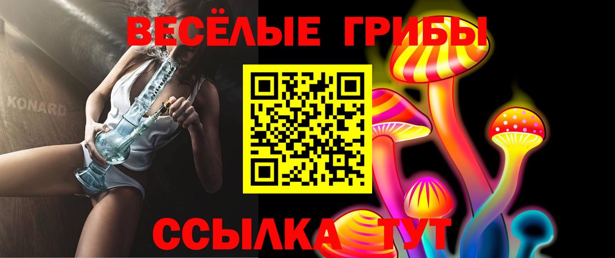 Галлюциногенные грибы Psilocybe Каменск-Шахтинский